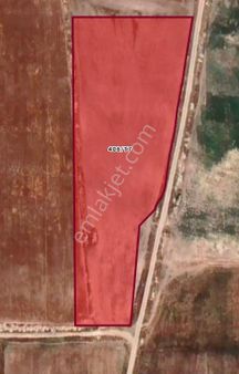 Sezenler Emlaktan Çumra İçeri Çumra Mahallesi'nde Satılık Tarla Dibinde Komşuları Mısır Ekmiş