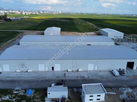Lefkoşa Haspolat Bölgesinde 500–1800 M2 Yatırım Amaçlı Satılık İşyeri , Fabrika Veya Depo !!!