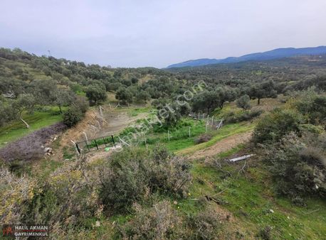 Akman'dan Havran'da 3 Yola Cepheli İmara Yakın Hobi Bahçesi