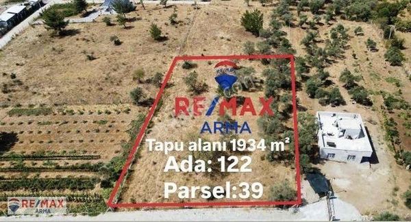 Torbalı Dirmil'de Satılık 1934 M² Süperzeytinlik Elektrik Ve Aktif