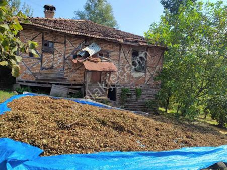 Görgülü Emlaktan Satılık Arazi 5278 M² Alan Mah