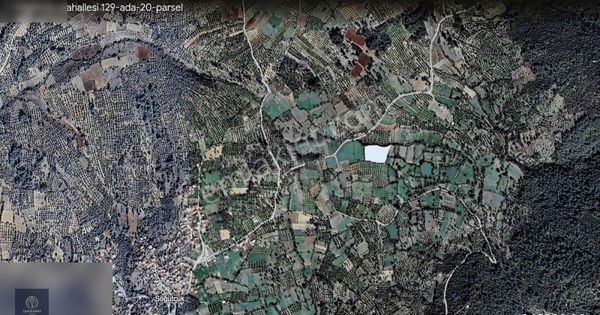 Söğütçükte Asfalt Yola Çok Yakın Fırsat Tarla