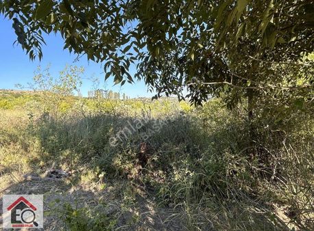 Bilecik Söğüt Tuzaklı Köyünde Satılık