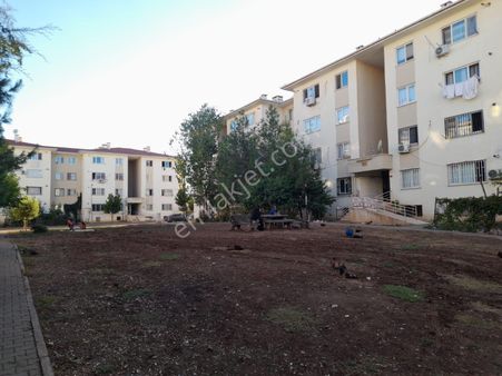 Sosyal Konutlar Tokide Kiralık 2+1 Daire