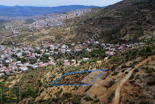 Rızık Gayrimenkul'den Önsen'de Yatırımlık Satılık Zeytinlik/bağ