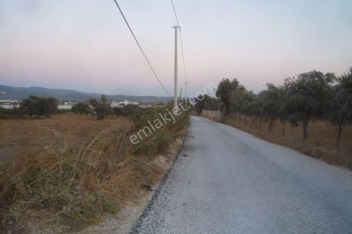 İzmir Torbalı Gold Emlaktan Satılık Kıymetli Tarla