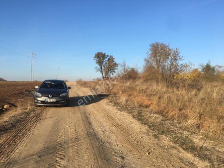 Süloğlu Merkezde Satılık 995 M2 Bağ Yeri