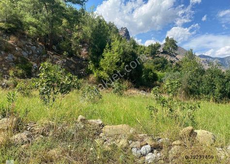 Eray Emlaktan Köyceğiz Çayhisarda 1037m2 Satılık Tarla