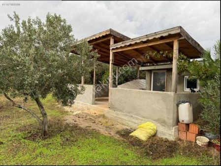 Tekirdağ Şarköy Kızılcaterzi Mah. Satılık Zeytinlik