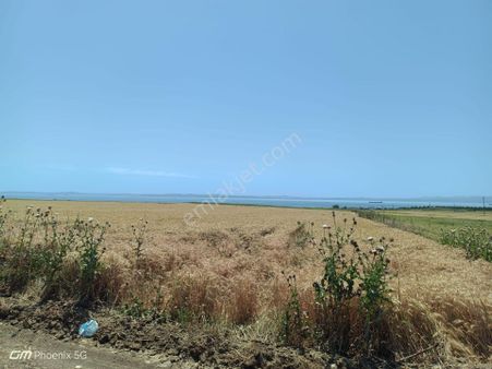 Tekirdağ Şarköy Kızılcaterzi Mahallesi Satılık Tarla