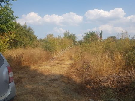 Kazdağları Akçakoyun Ev Yapmaya Uygun