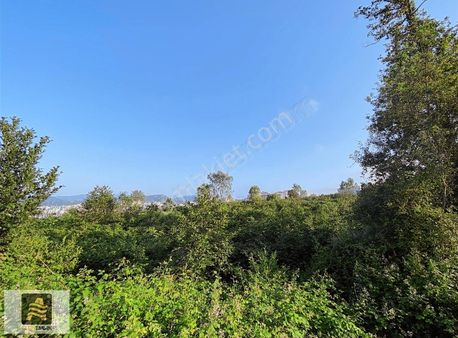 Altın Emlak Yalıncakta Kat Karşılığı Arsa