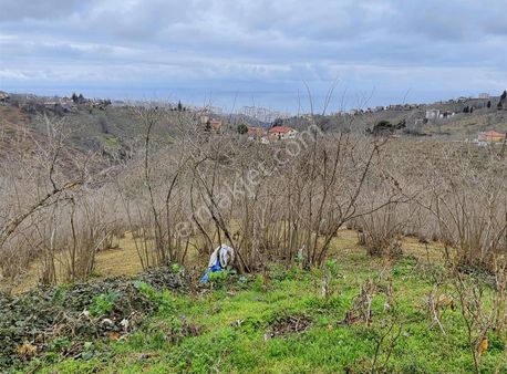Altın Emlaktan Kaşüstünde Satılık 4 Dönüm Arazi