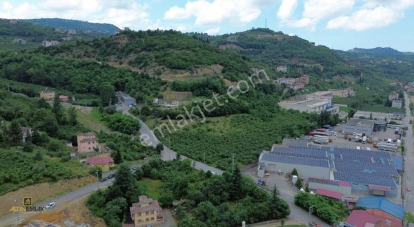 Altın Emlak Trabzonda Satılık Ticari İmarlı Arsa
