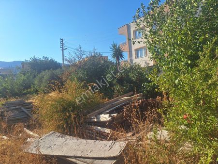 Söke Çeltikcide 5 Kat Konut İmarlı Satılık Arsa Yola Yakın 242m2 İmarlı Satılık Arsa