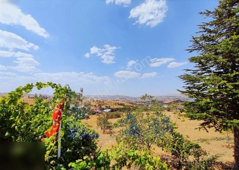 Yemislik Mevkii Satılık Kaçmaz Kupon Bahçe