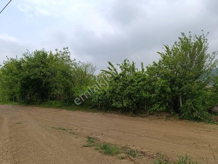 Erden Emlaktan Satılık Doğa Harikası Bahçe