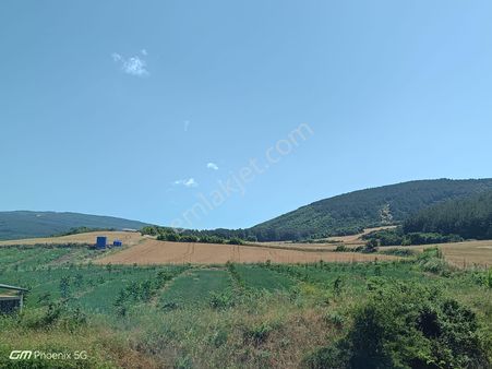 Tekirdağ Şarköy Gölcük Mahallesinde Satılık Tarla