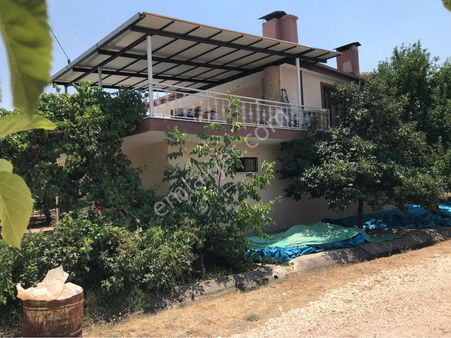 Hs Life Gruptan Satlık Bahçe 2 Katlı Ev Ve 300 Kök Kaysı