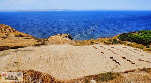 Lapseki Alpagut'ta 937 M2 1/24 Hisseli Full Deniz Manzaralıtarla