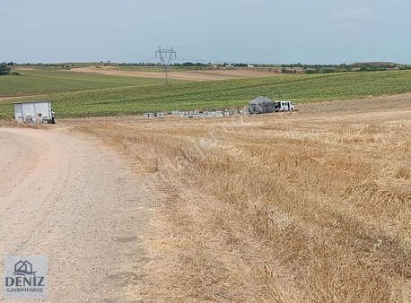 Deniz Gayrimenkulden Evrensekiz'de 303 M2 Hisseli Kendi Yerimiz