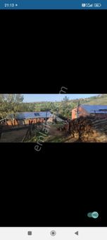 Kaz Dagları. Aile Cifligi