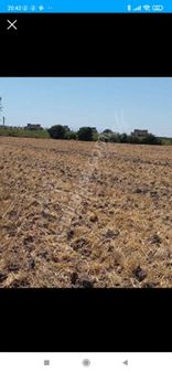 Satılık İmarlı Arsalar