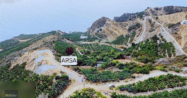 Zeytinada'da Deniz Manzaralı Arazi