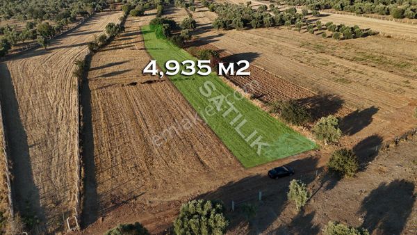 Bodrum Mumcular Satılık 4,935 M2 Fırsat Tarlası