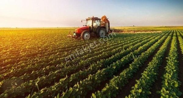 Konya Karapınar Bölgesinde 210 Dönum Sulak Arazi