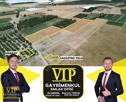 Vıp Gayrimenkul ' Den Bayralar Mah. 7000 M2 Yol Su Elektrik Var
