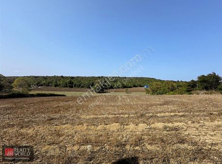 *rw*arnavutköy Balaban Da Satılık Tek Tapu 8580 M2 Tarla