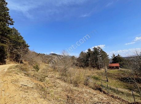 Hd'den Uludağ Kirazlı’da Hobi Bahçesi