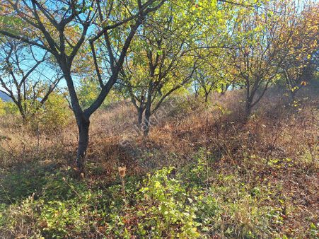 Konut İmarlı Sakarya Geyve Demirler Mahallesinde Satılık