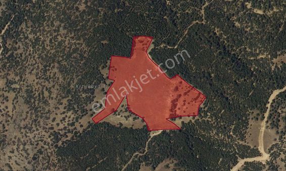 Ayşah Gayrimenkulden Pamukkale,,ve Denizli Manzaralı Satılık Tarla