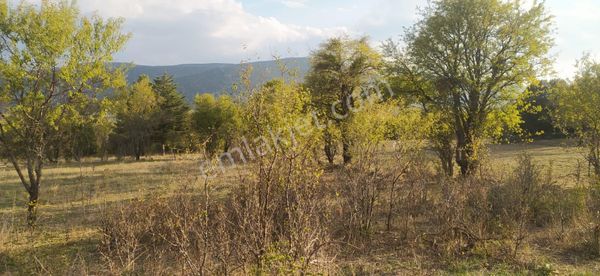 Asya Evim Gayrimenkulden Yazır Köyünde Satılık Hobi Bahçesi