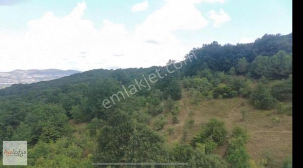 Kemalpaşa Bahariye Köy İçi Mücavir Alana Yakın 5 Dönüm