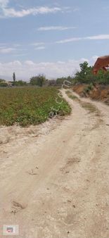 Niğde-bor-kemerhisar Da A-101yakını Satılık Elmalık