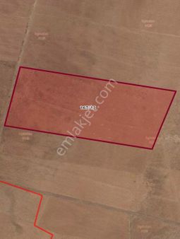 Sezenler Emlaktan Çumra Kuzucu Mahallesi'nde Fiyatı Abartılmamış Satılık Tarla