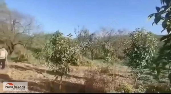 Bursa İznik Satılık Arsa Meyve Bahçesi