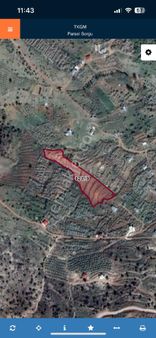 Alanyagökbel Gömülgen Yaylası Satılık Bahce