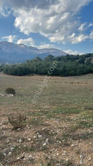 Asya Evim Gayrimenkulden Yazır Köyünde Satılık Tarla