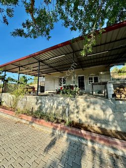 Kuzey Emlaktan Beycede Efsane Tarla !!