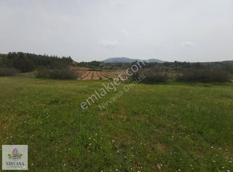 Çal Süller Yolu Asfalta Sıfır Kanal Yakını Tarla