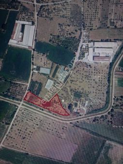 Aydın İncirliova'da Satılık Tarla