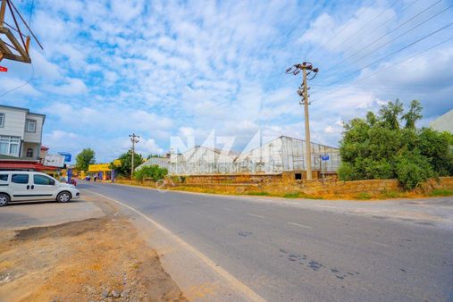 Gazipaşa Sarıağaç'da 3.392 M² Satılık Tarla Ve Sera