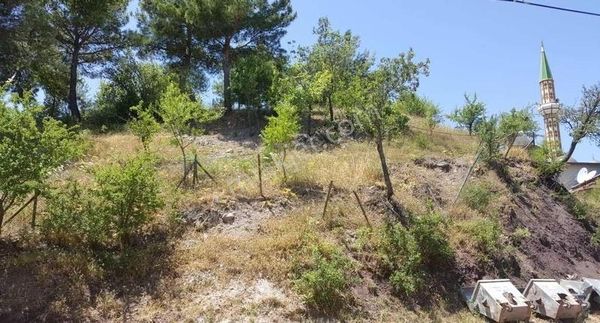 Küçükkuyu Çetmibaşı Köyde İmarlı Deniz Manzaralı Satılık Arsa