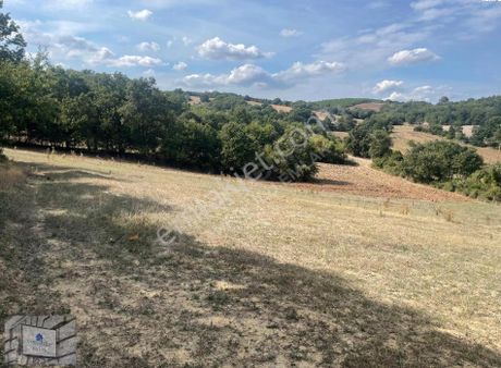 İnegöl Çavuşköyde Satılık Tarla 4,5 Dönüm Resmi Yolu Mevcut