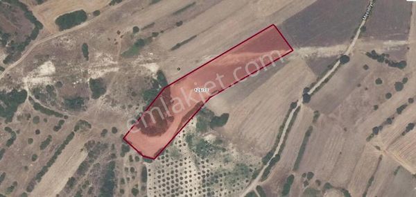 Çanakkale / Lapseki / Mecidiye Köyü Satılık Arazi