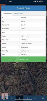 Koçerlerden Havran Çamdibi Satılık Zeytinlik